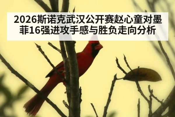 2026斯诺克武汉公开赛赵心童对墨菲16强进攻手感与胜负走向分析